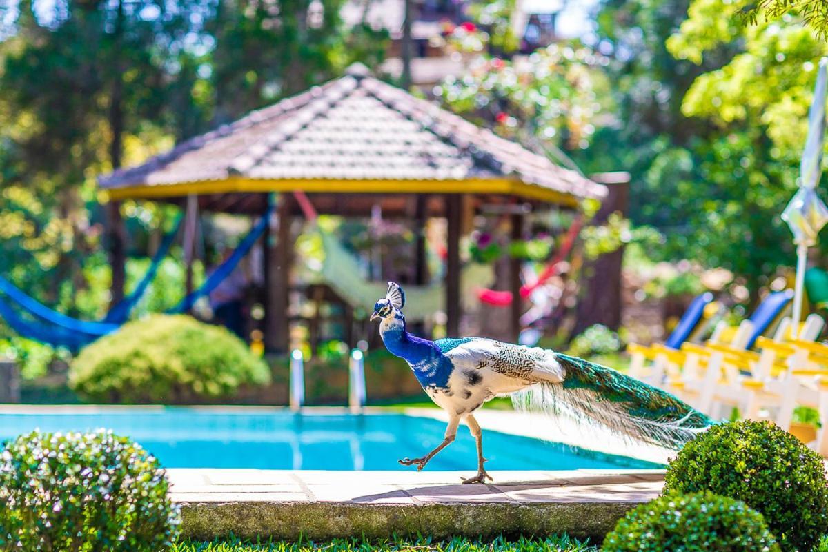 Pousada Villa D'Amore Monte Verde  Ngoại thất bức ảnh