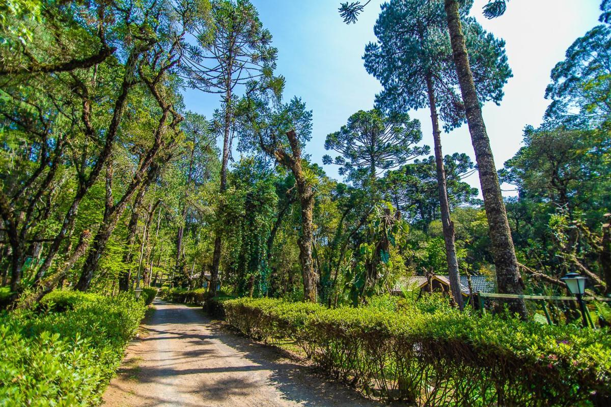 Pousada Villa D'Amore Monte Verde  Ngoại thất bức ảnh
