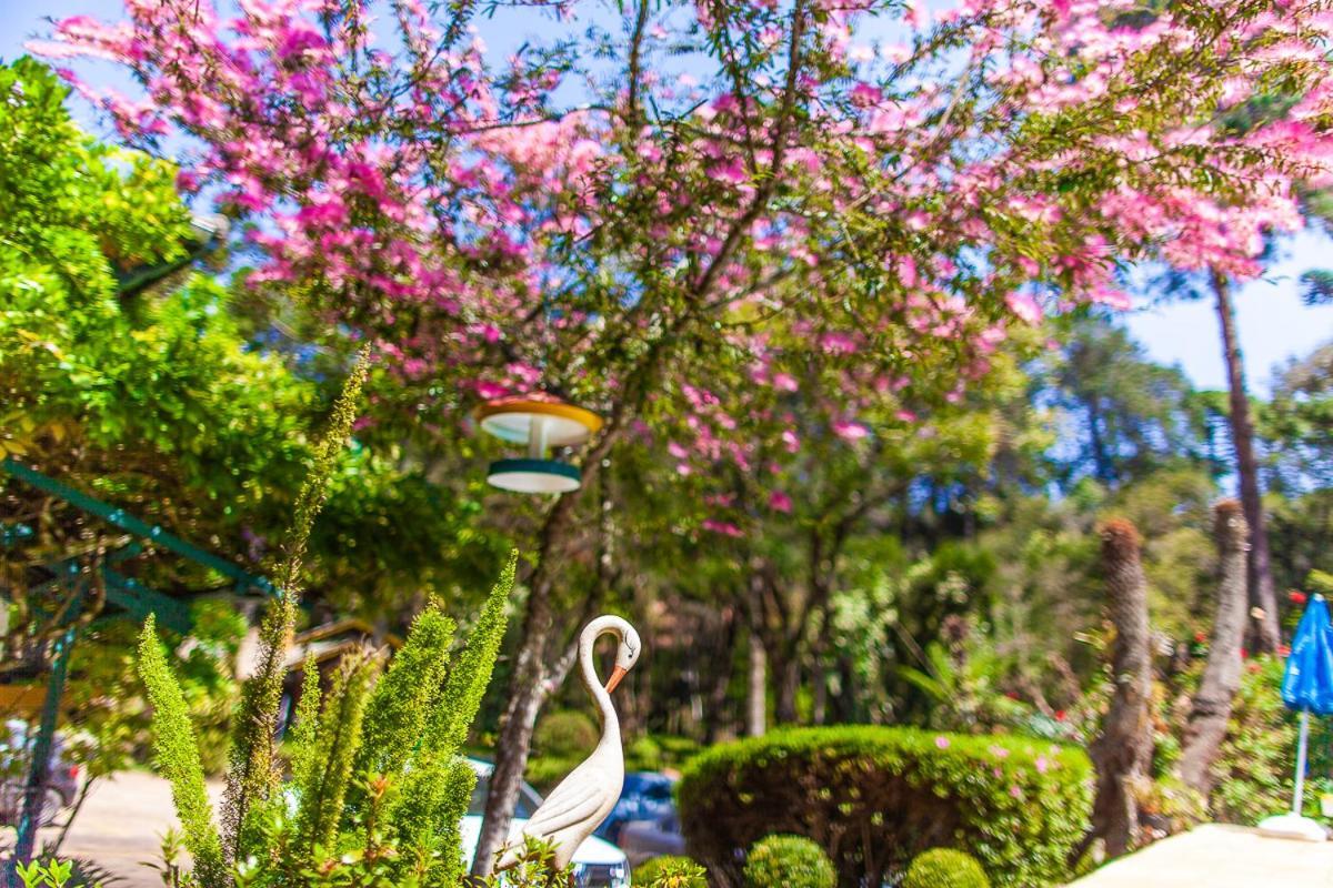 Pousada Villa D'Amore Monte Verde  Ngoại thất bức ảnh