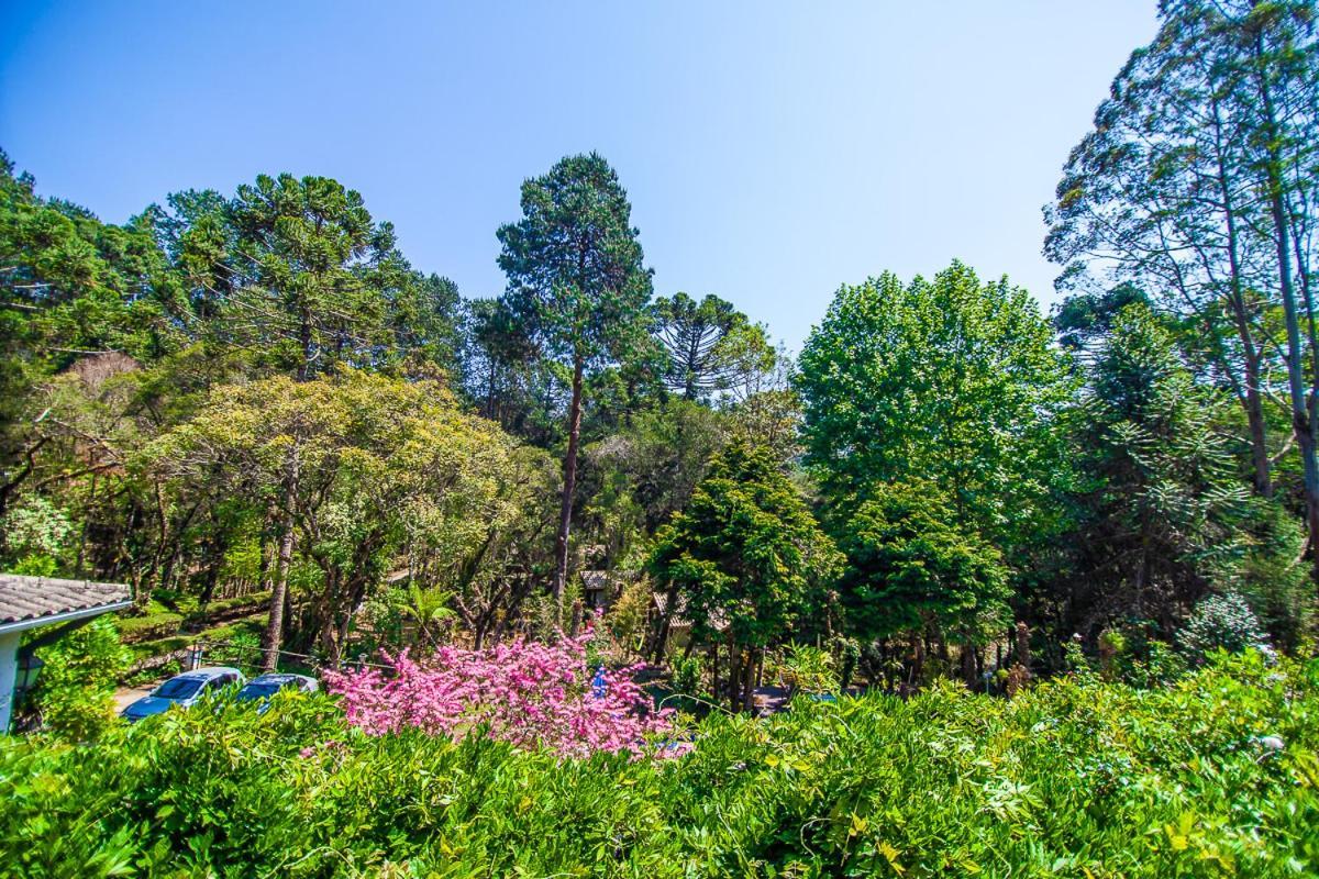 Pousada Villa D'Amore Monte Verde  Ngoại thất bức ảnh