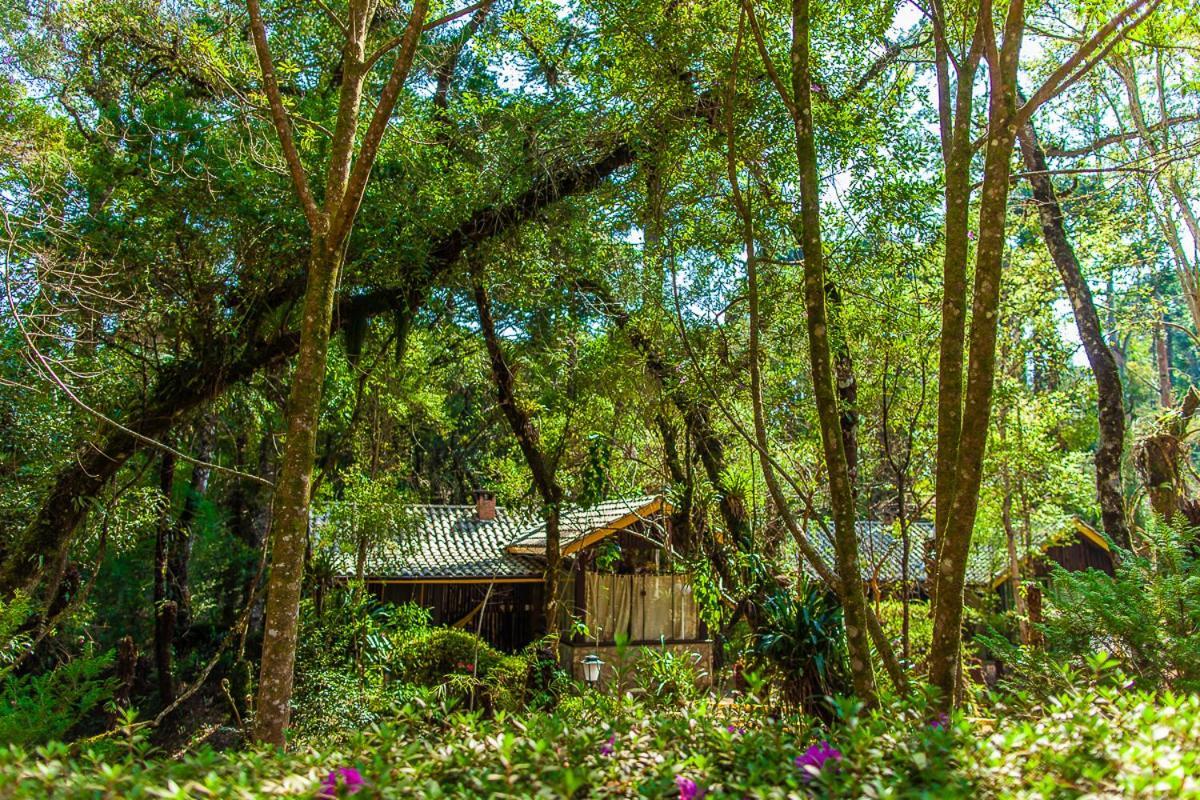 Pousada Villa D'Amore Monte Verde  Ngoại thất bức ảnh
